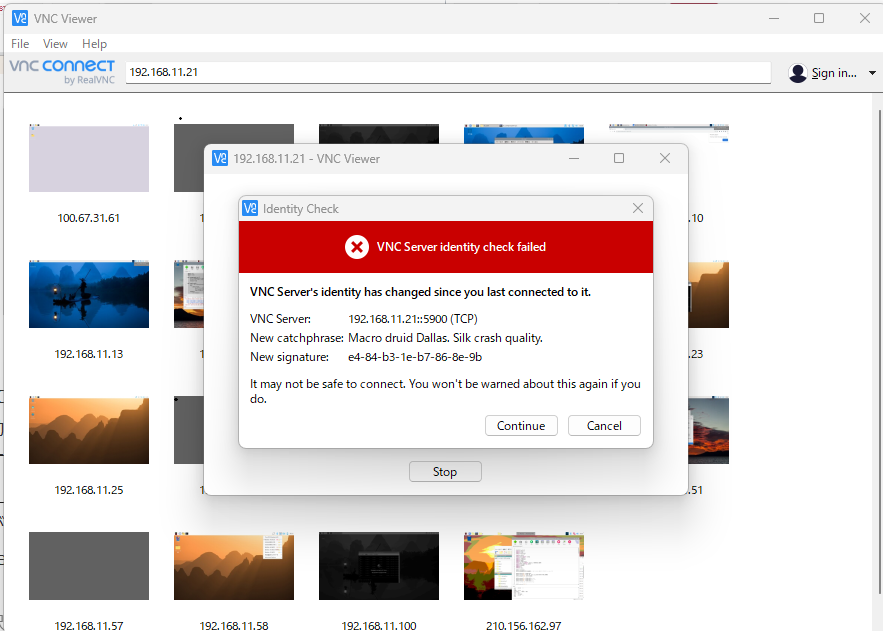 RealVNC Viewer で Raspberry Pi に接続したときのアイデンティティチェック