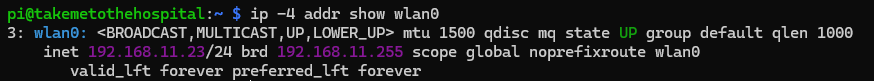 再起動後も wlan0 の固定 IP が保持されていることを確認