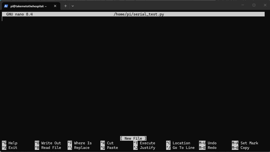 nano エディタで serial_test.py を新規作成する画面