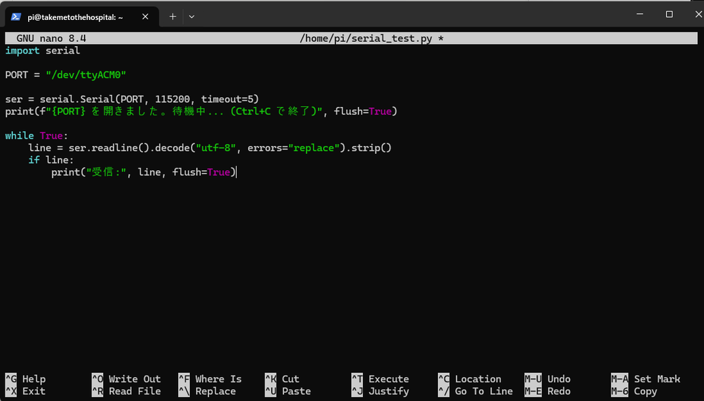 serial_test.py のコードを貼り付けた nano エディタ