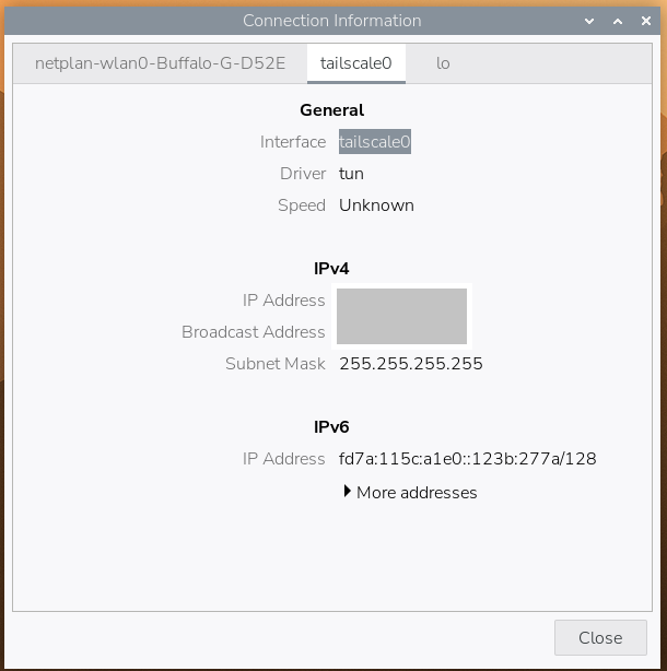 Raspberry Pi の Connection Information に表示された tailscale0(アドレスは伏せ字)